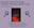 Murder Mystery Book Club (3).png
