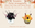 Pumpkin Floral Arrangement (1).png