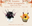 Pumpkin Floral Arrangement.png