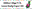 RP Website Buttons (3).png