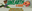 SRP Website Button & Section Headers (3).png