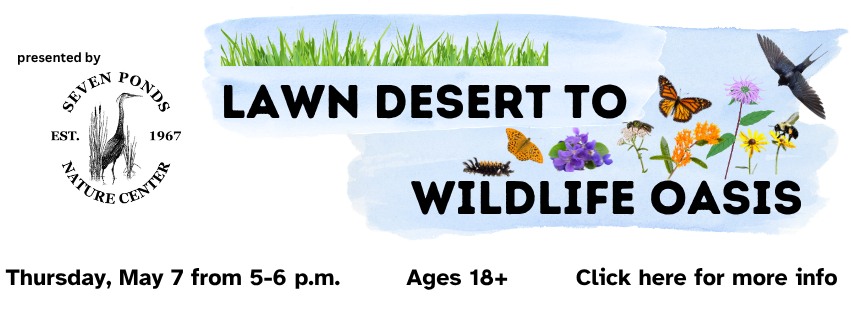 White background with various wildlife advertising a class by Seven Ponds